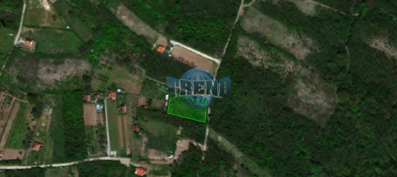 Plac 15 a u Svilajncu, brdo Baćica