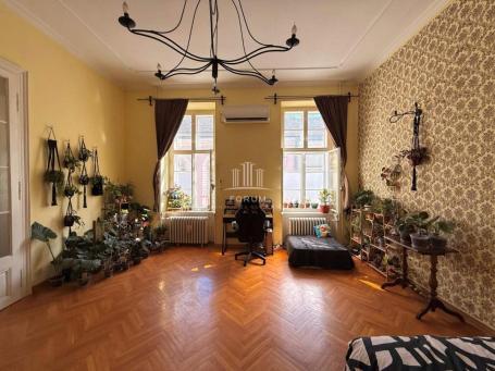 Prelep salonski stan u pešačkoj zoni Novog Sada
