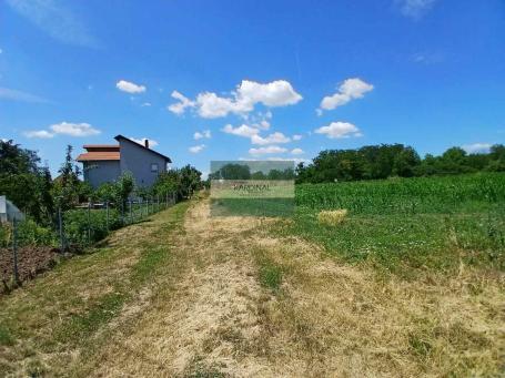 NA PRODAJU ZEMLJIŠTE U VINORAČI KOD JAGODINE – 127,47 ARI U JEDNOJ CELINI