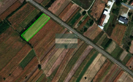 Poljoprivredno zemljište 44,58 a, Mijatovac, Ćuprija
