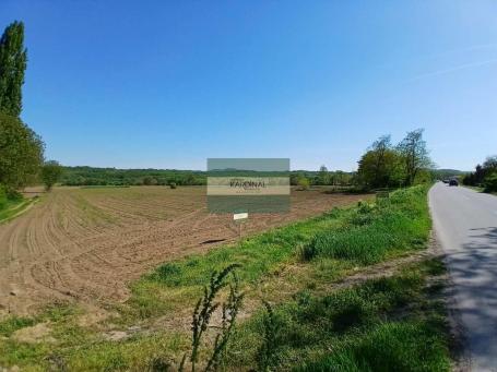 DRAGOCVET (Jagodina) – Prodaje se plac 160,09 ari