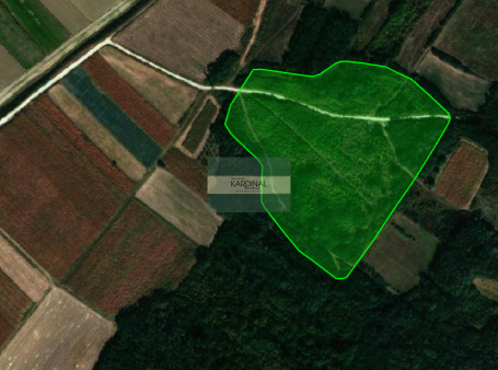 Poljoprivredno zemljište 15,2a, Dragocvet, Jagodina