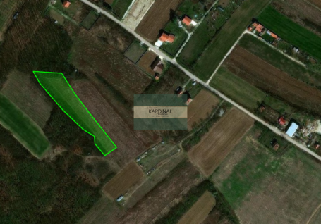 NA PRODAJU POLJOPRIVREDNO ZEMLJIŠTE – OKOLINA JAGODINE | 52,41 ari