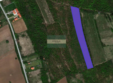 Na prodaju ŠUMA – 92,95 a