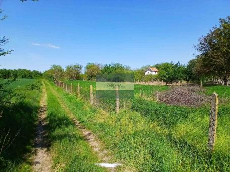 Plac u Vinorači, Jagodina, 19.32 a