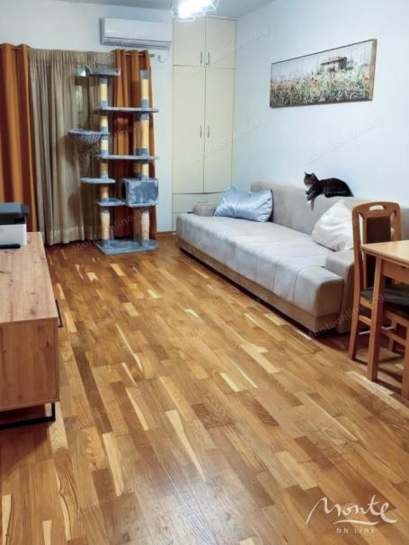 Ugodan jednosoban apartman s terasom i pogledom na planine u Budvi
