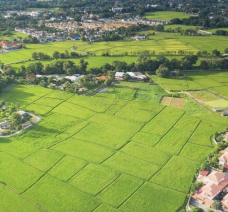 Plac 2307m2-na idealnoj lokaciji-mir, priroda i blizina grada 3 u 1, Donji Matejevac
