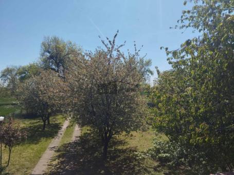 Plac sa kućom