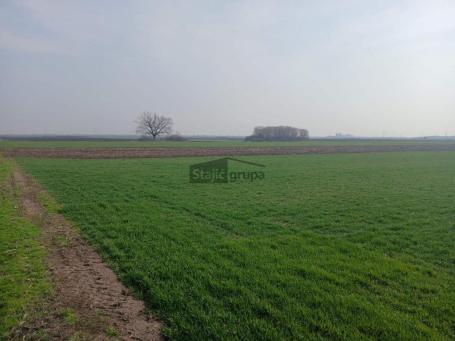 Na prodaju plac sa odličnim potencijalom za izgradnju salaša
