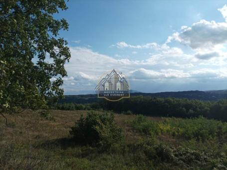 Avala, Trešnja, 58 ari sa panoramskim pogledom