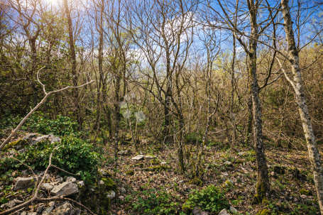Ekskluzivno - LABIN - PRESIKA | Atraktivno građevinsko zemljište 1100 m²