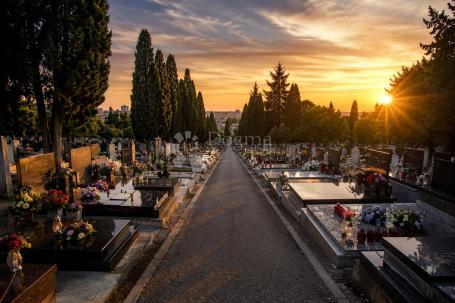Vječno počivalište na gradskom groblju Miroševac