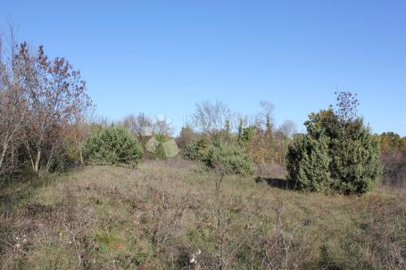 Land Filipana, Marčana, 1.597m2