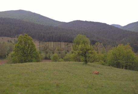 Plac  za  gradnju  sa  građ. dozvolom, Goč, izletište Mitrovo Polje, 44,38 ara