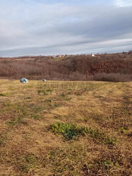 Veliko Krčmare  – Poljoprivredno i šumsko zemljište 3 ha 20 ari 71 m2