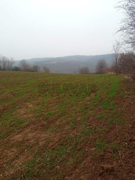 Boževac, Malo Crniće  –Poljoprivredno i šumsko zemljište 3 ha 91 ar  79 m2