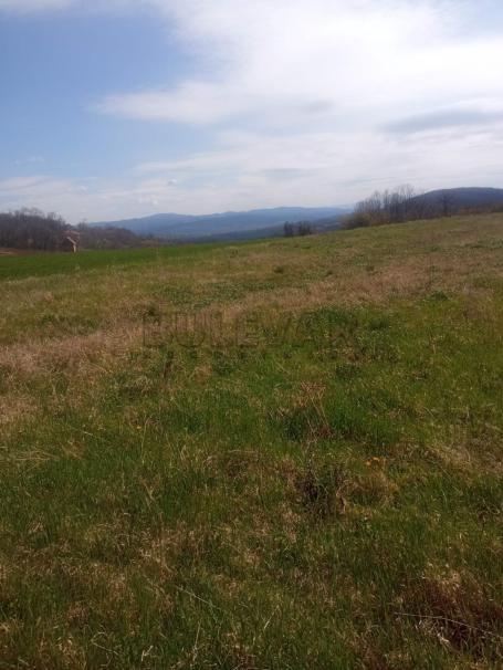 Veliko Krčmare kod Rače  –Poljoprivredno i šumsko zemljište 14612 m2
