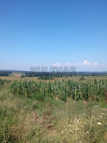 Poljoprivredno i šumsko zemljište u Rači -  ukupna površina 20164 m2