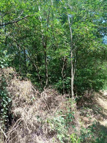 Poljoprivredno i šumsko zemljište u Malom Krčmaru kod Rače -  ukupna površina 10746 m2