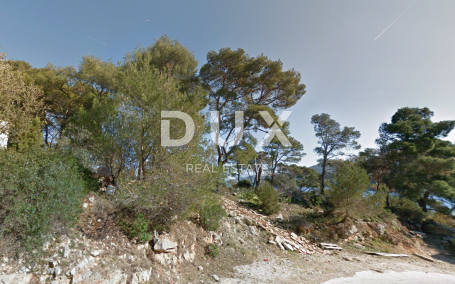 DUGI OTOK, BOŽAVA - Zemljište od 15 000 m2 prvi red do mora!