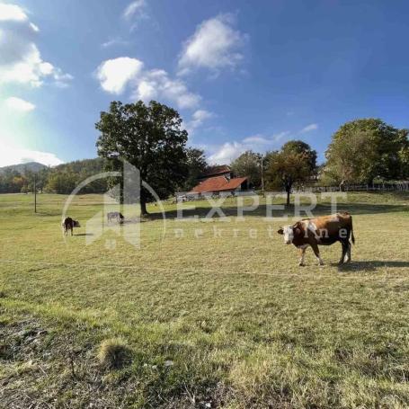Plac Sremski Karlovci 2480m2