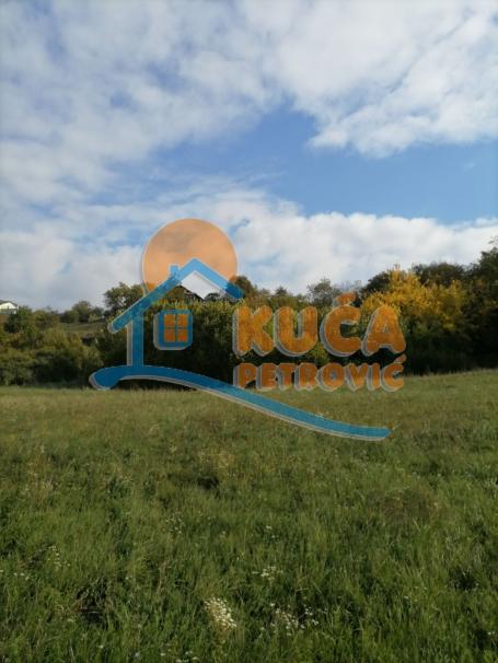 Plac Na Fruškoj Gori, 2480 m2