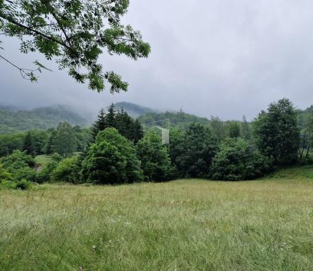 Plac, 18517m2, Moračko Trebavljevo, Kolašin
