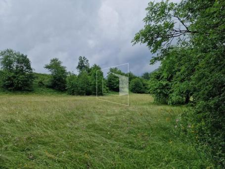 Plac, 11112m2, Moračko Trebaljevo, Kolašin