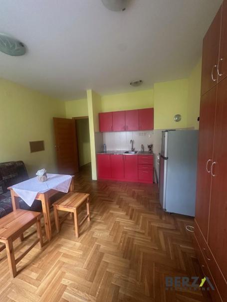 KOMPLETNO NAMEŠTENA GARSONJERA, KOSTE RACINA, NOVA DETELINARA