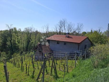 Stražinec – klet s vinogradom, voćnjakom, površine 1.200 m²