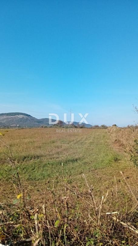 ZADAR, RAŠTANE GORNJE - Poljoprivredno zemljište 5062 m2