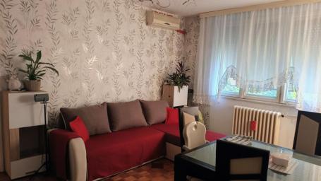 Dvosoban stan na Detelinari, Novi Sad, 50 m², 1. sprat