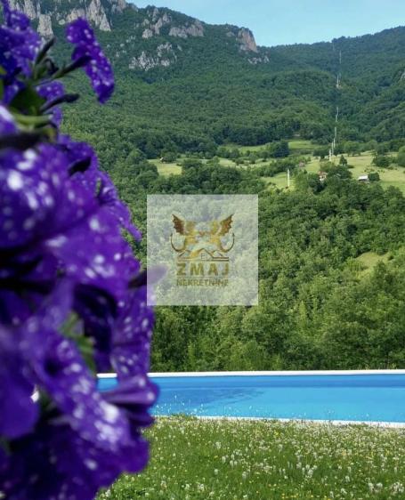 PRELEP KAMP NA TARI, NETAKNUTA PRIRODA, OPREMLJENI APARTMANI!
