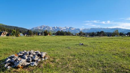 Prodaja zemljista 5000m² -Borje, Zabljak