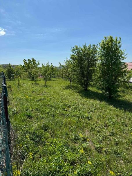 GROCKA RITOPEK 1000m2 , 59000e