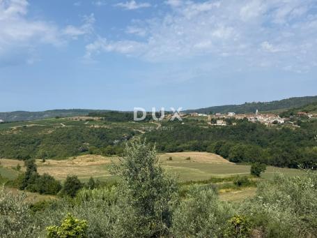 ISTRA, GROŽNJAN - Građevinsko zemljište s predivnim pogledom i maslinama