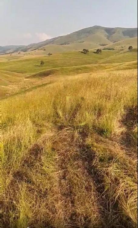 Prodaja, Plac, 0m2 , Gajevi