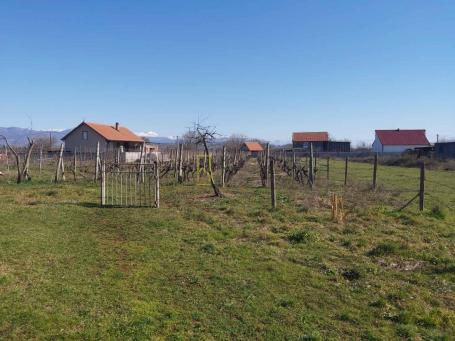PRODAJA – PLAC U BERIMA, U BLIZINI GORNJE GORICE, PODGORICA