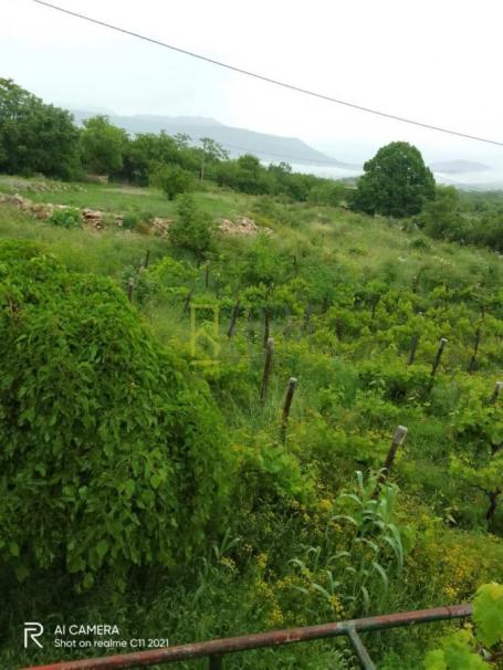 PRODAJA – ZEMLJIŠTE U BANDIĆIMA, DANILOVGRAD