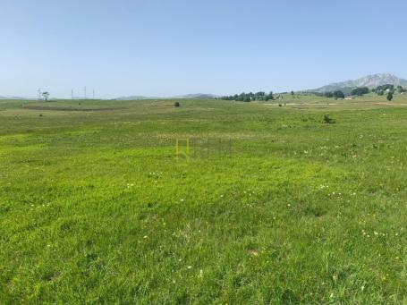 Prodaja – Zemljiste Pasina Voda 2, Zabljak