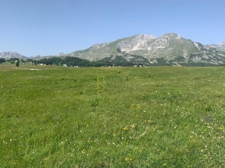 Prodaja – Zemljiste Moticki Gaj, Zabljak