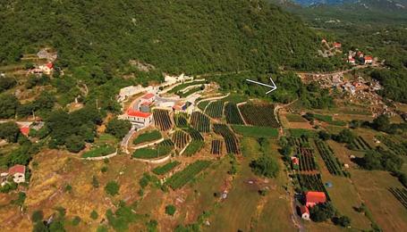 PRODAJA – PLAC I ŠUMA U DOBRSKOM SELU, CETINJE
