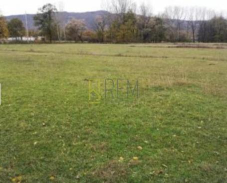 Prodaja – plac Livade, Bandici