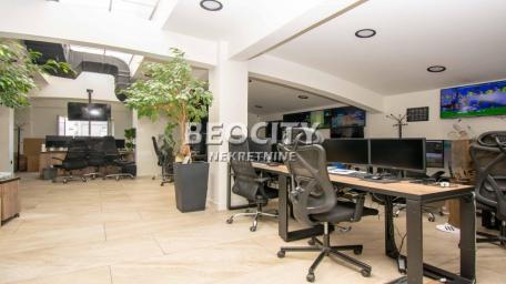 Vračar, Južni bulevar, Južni bulevar, 10.0, 734m2, 8000EUR