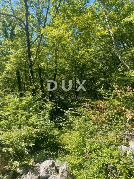 OTOK KRK, SUŽAN – Poljoprivredno zemljište 2.841 m² s pristupom, blizu mora i građevinske zone!!