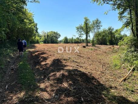 ISTRA, MUNTIĆ - Prodaja poljoprivrednog zemljišta