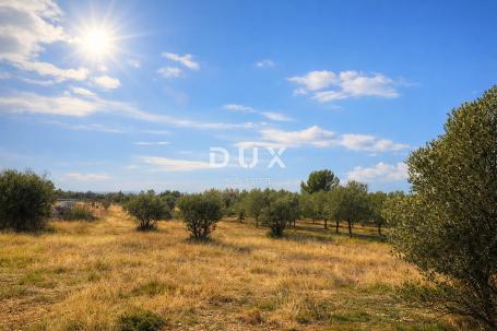 ISTRA, VODNJAN – Poljoprivredno zemljište