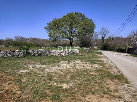 ISTRA, MARČANA - Premium projekt prizemnica s bazenom