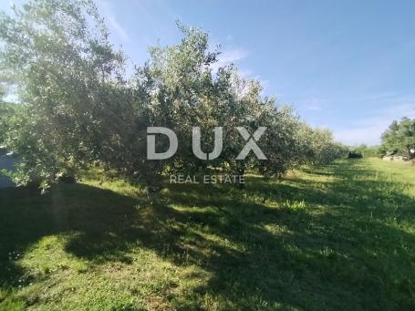  ISTRA, MEDULIN - Poljoprivredno zemljište 1508 m2