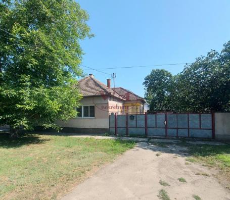Srbobran, Turija, Kvalitetna renovirana kuća sa sedmogodišnjim zasadom PAULOVNIJE - može na kredit